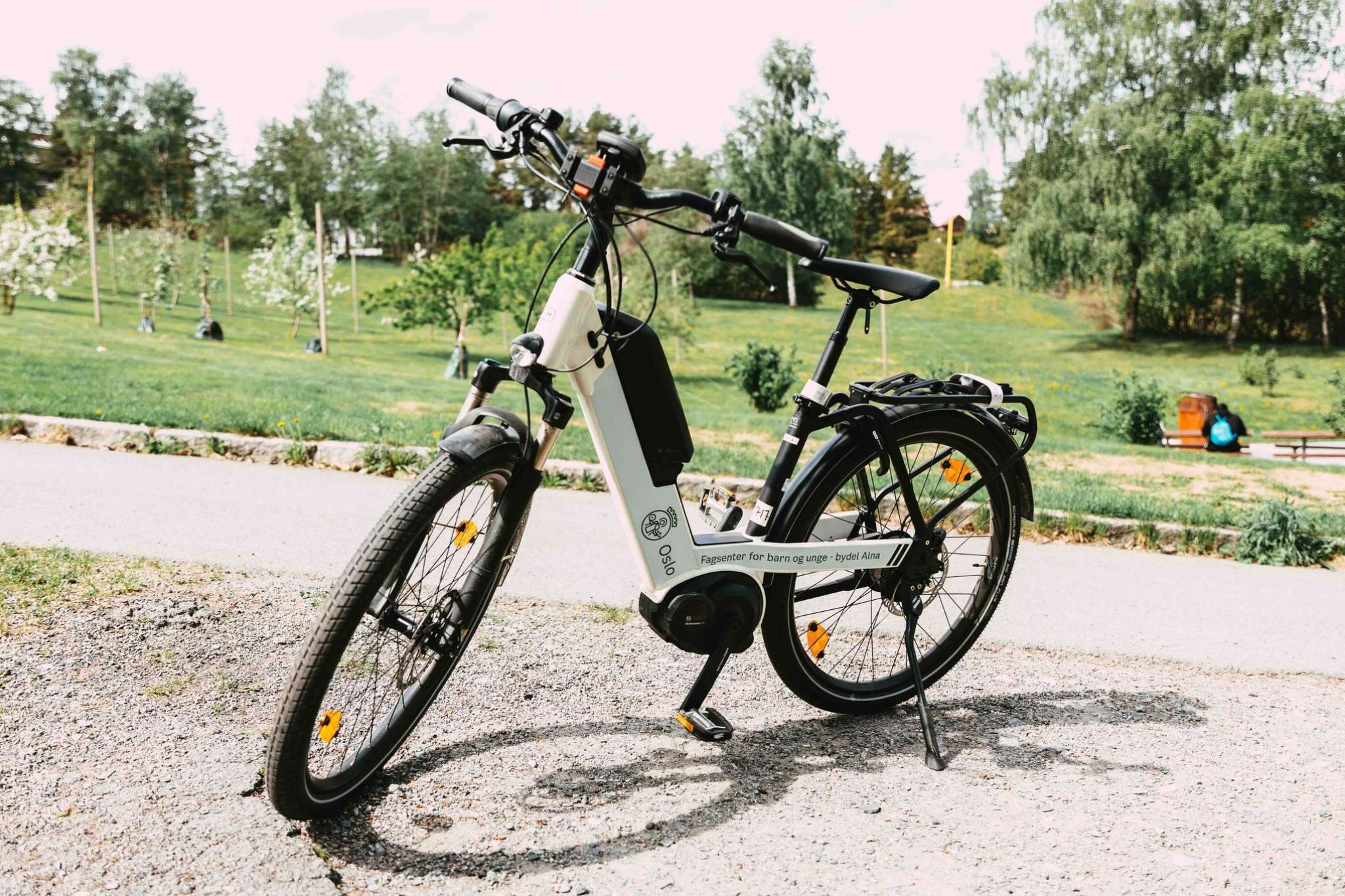 Elsykkel parkert ved en park. Foto