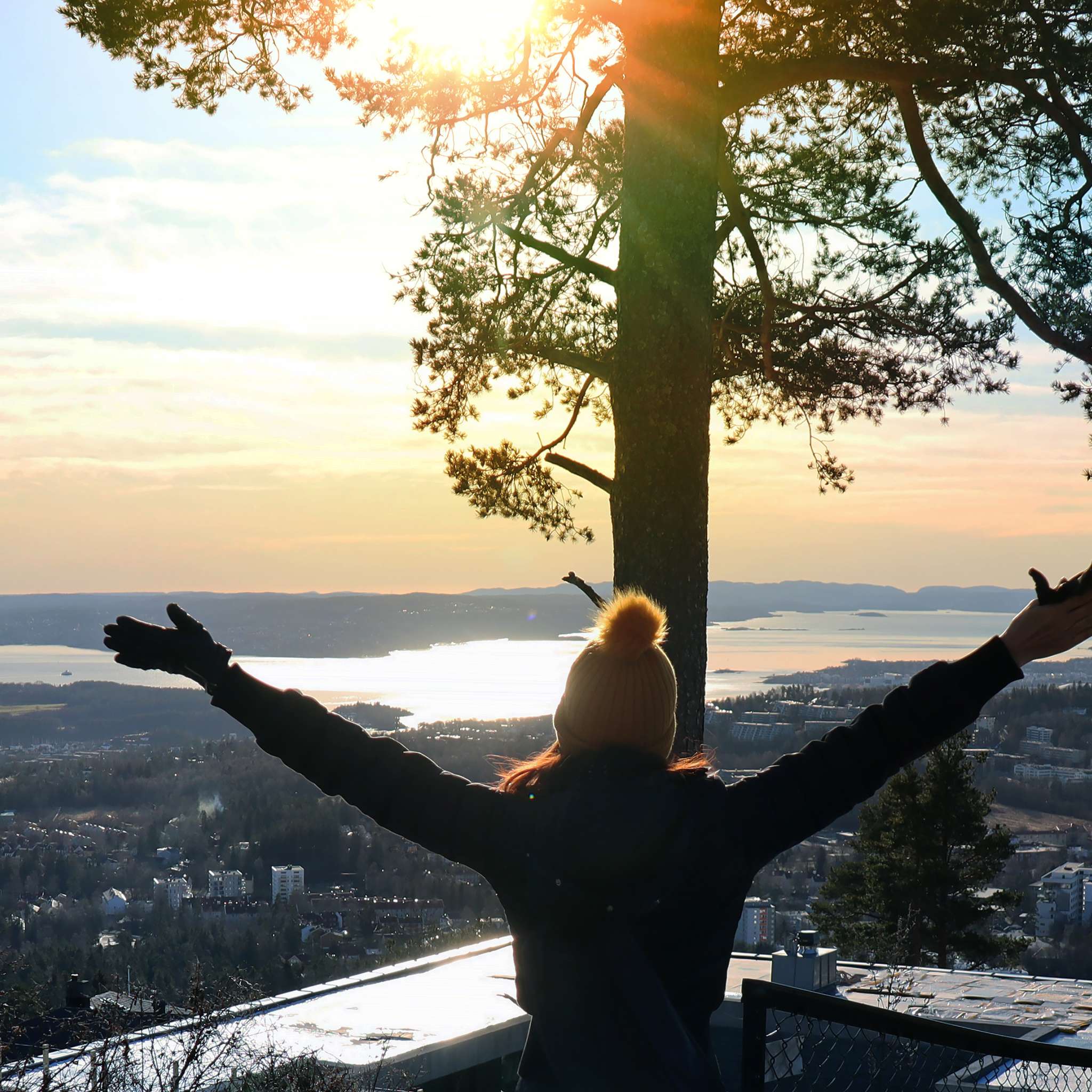 Høyt over Oslo (1)